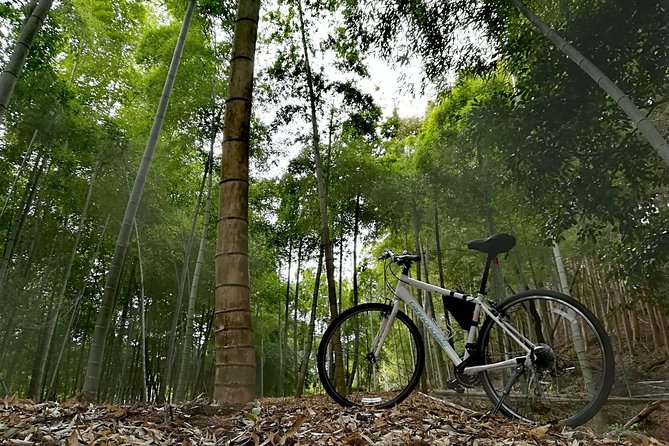 Arashiyama Bamboo Forest & Hidden Gems Bike Tour (Early Bird) - Who should book this bike tour