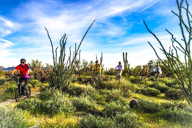 Arizona Desert Guided E-Bike Adventure - Riding from North Phoenix into the Sonoran Desert