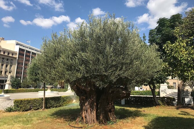 Athens by E-Bike: Monuments, Food & Transfers (Cruise Tour) - The pastry, café stop, and local flavor