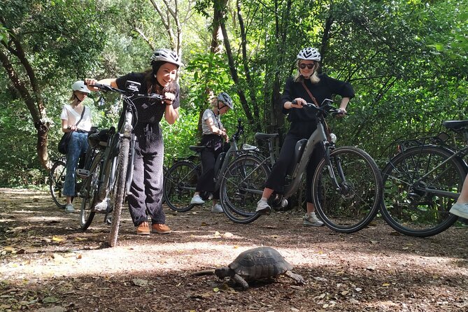 Athens Small Group E-Bike Tour - The Metropolitan Cathedral provides a natural rest stop
