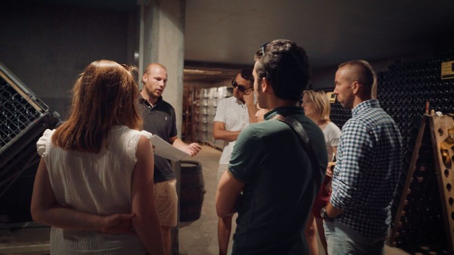 Au départ de REIMS : Ebike tour with a local guide ! - Learning Champagne from a wine-grower’s family