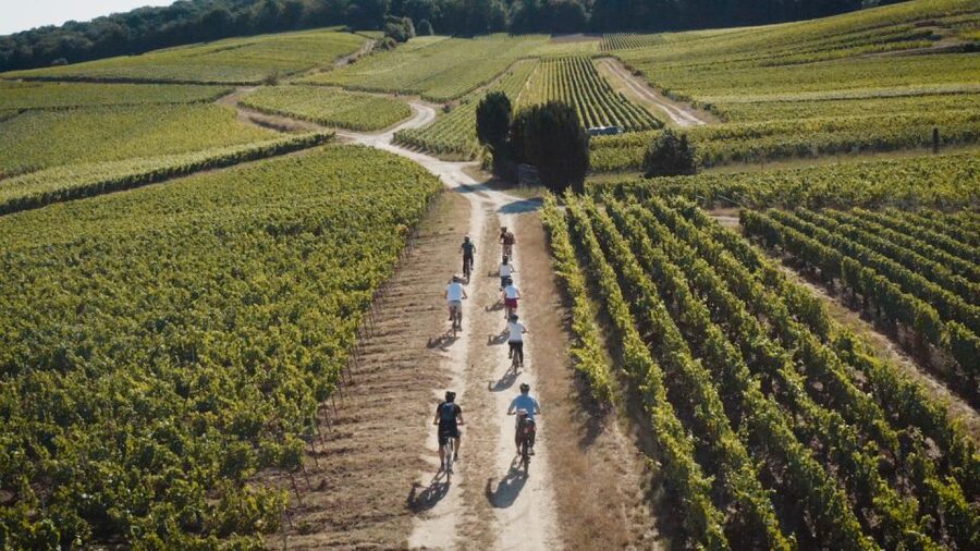 Au départ de REIMS : Ebike tour with a local guide ! - The first Champagne tasting outdoors