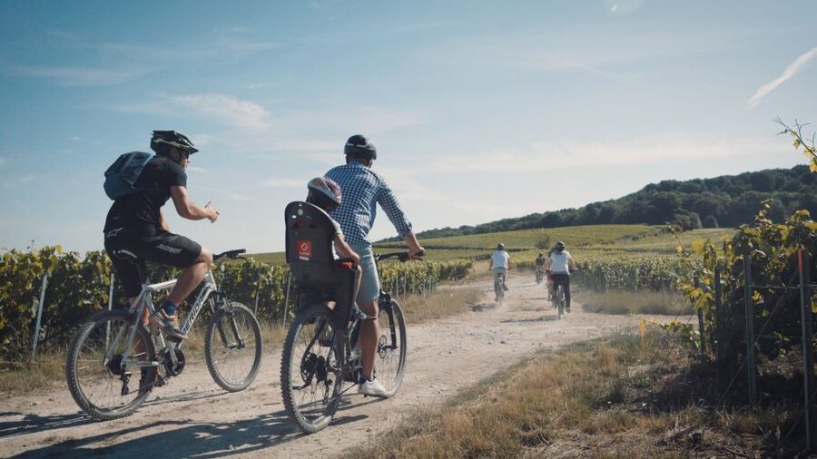 Au départ de REIMS : Ebike tour with a local guide ! - Inside a small winery and family cellar