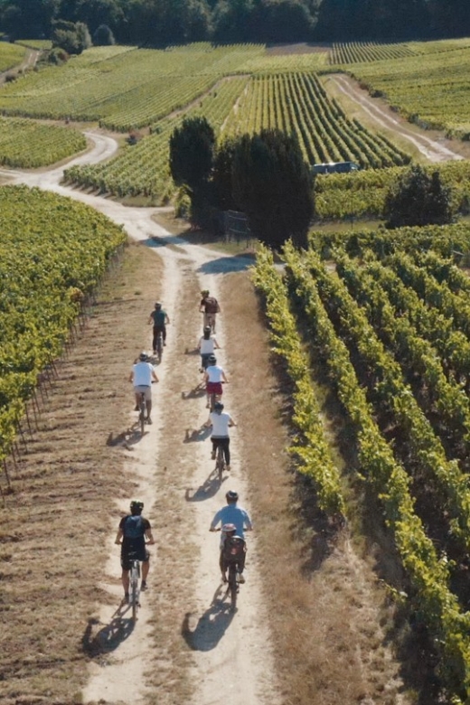 Au départ de REIMS : Ebike tour with a local guide ! - Who will enjoy this tour most?