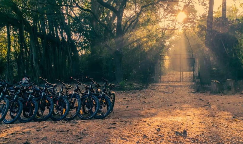 Auroville: Nature Trail Forest Cycling Adventure - Key points at a glance