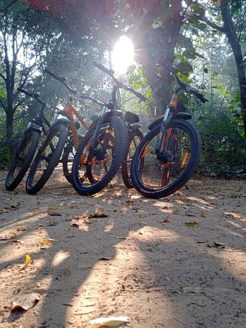 Auroville: Nature Trail Forest Cycling Adventure - A forest outing with more than a bike ride