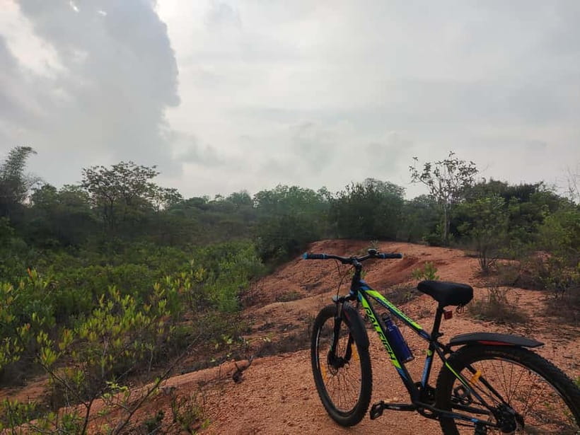 Auroville: Nature Trail Forest Cycling Adventure - The first 45 minutes on Poothurai Road