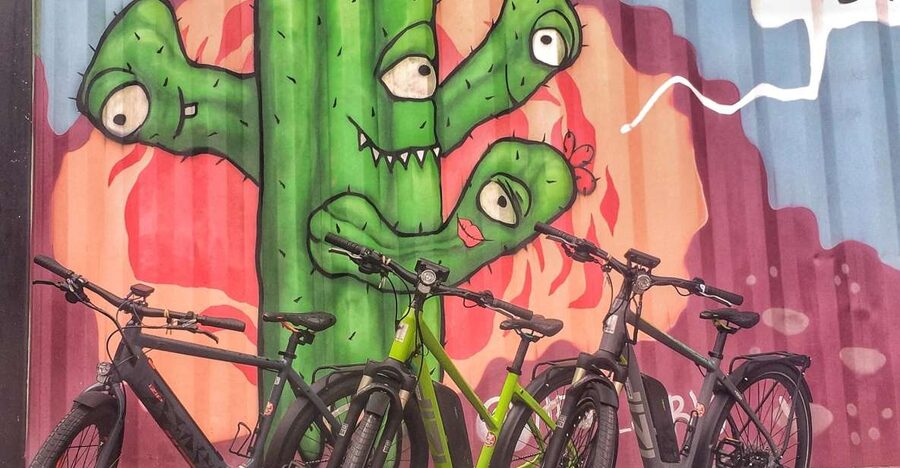 Austin: Electric Bike City Sightseeing Tour - Barton Springs gives the tour a cool beginning