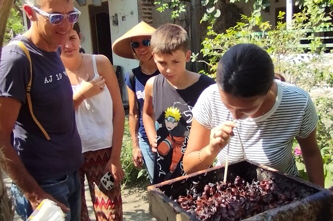 Authentic Yogya Bicycle Tour - The stingless-bee farm and unusual honey