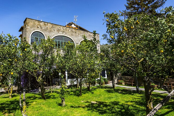 Backroads & Limoncello Experience: Sorrento E-Bike Tour - Key points to know before you book