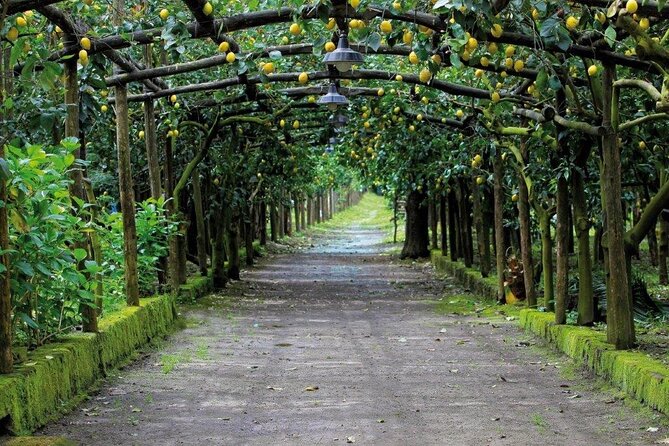 Backroads & Limoncello Experience: Sorrento E-Bike Tour - The guides make a real difference