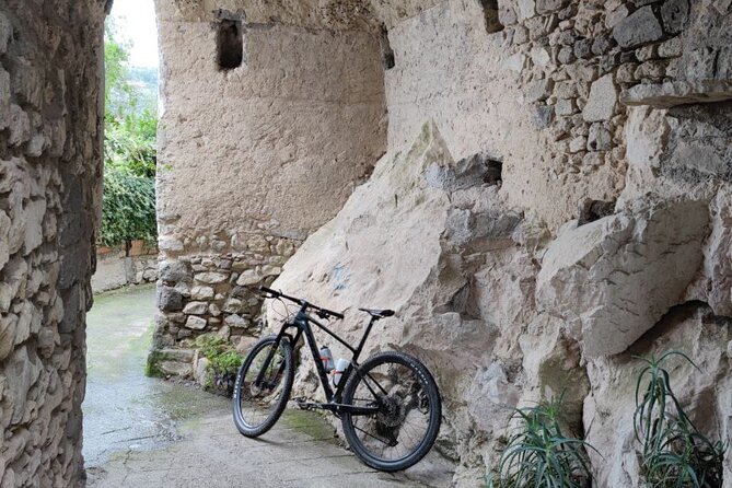 Backroads & Limoncello Experience: Sorrento E-Bike Tour - Lemon trees, olive groves, and the smell of the countryside