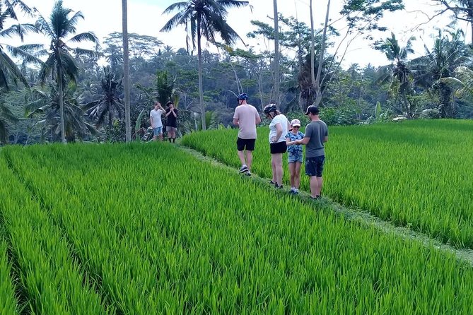 Bali Countryside Cycling Adventure - Key points at a glance