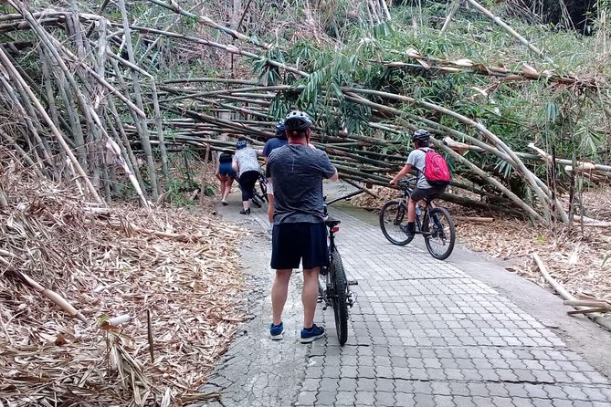 Bali Countryside Cycling Adventure - Penglipuran Village and traditional Bali