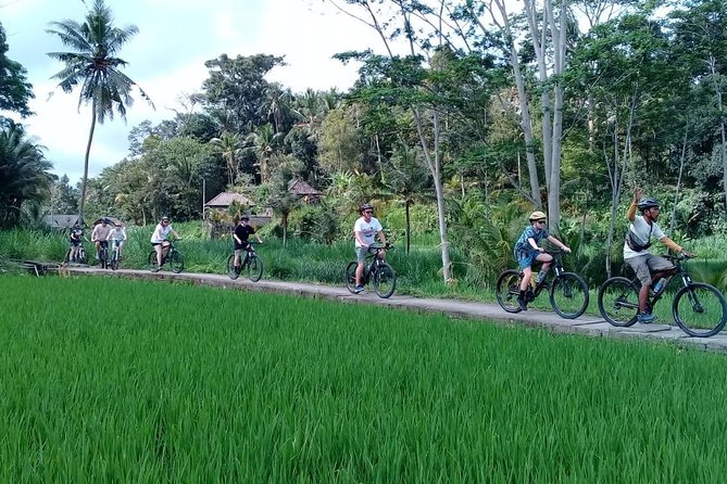 Bali Countryside Cycling Adventure - How the price compares with the day you get