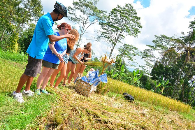 Bali Countryside Cycling Tours - Weather, cancellations, and practical limits