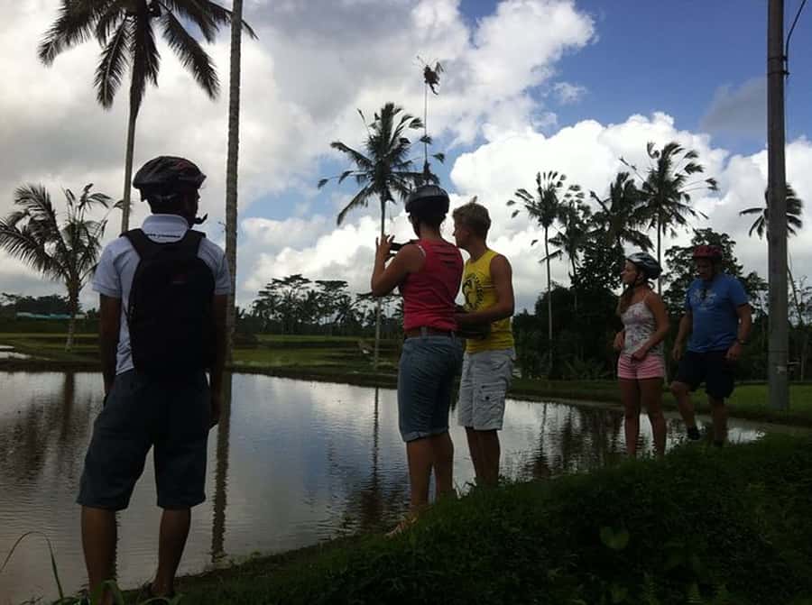 Bali Downhill Cultural Cycling Tour - The 3.5-hour ride toward Ubud