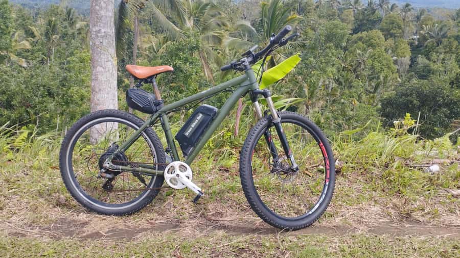 Bali: Jatiluwih Rice Terraces 1 Hour Electric Bike Tour - Why Jatiluwih works so well by electric bike