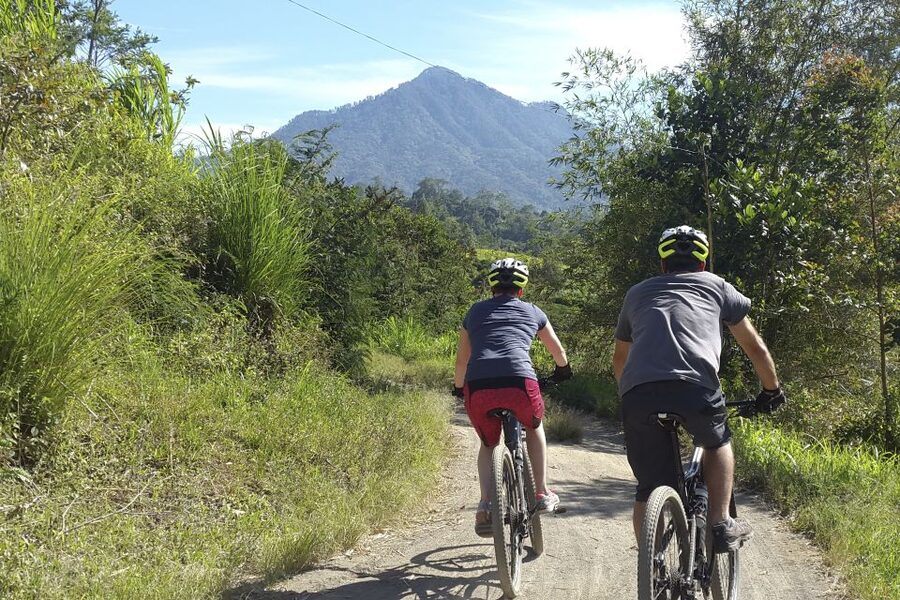 Bali: Jatiluwih Rice Terraces 1 Hour Electric Bike Tour - The one-hour tradeoff