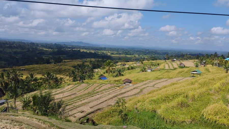 Bali: Jatiluwih Rice Terraces 1 Hour Electric Bike Tour - Should you book the Jatiluwih electric bike tour?