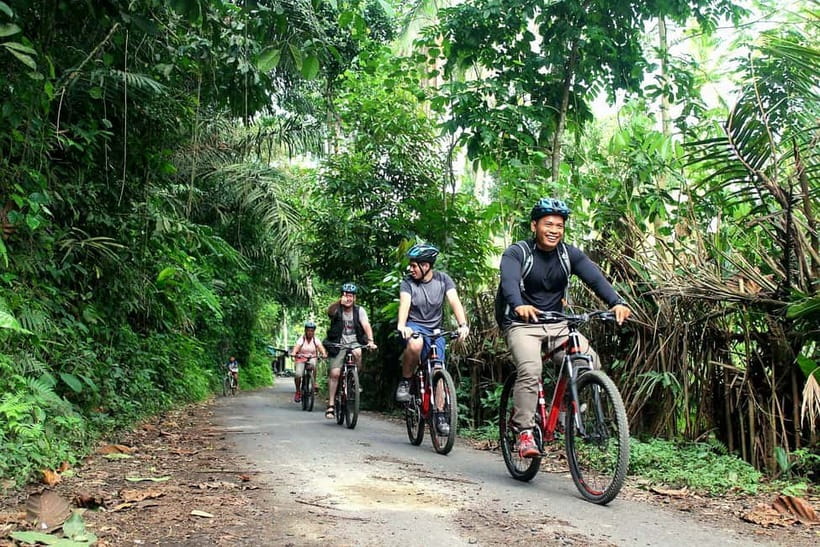 Bali: Kintamani Downhill Bike Tour, Jungle and Waterfalls - Why this downhill ride works so well
