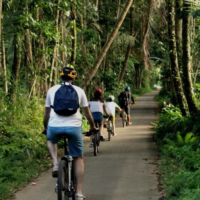 Bali: Kintamani Downhill Bike Tour, Jungle and Waterfalls - Getting comfortable on the bike