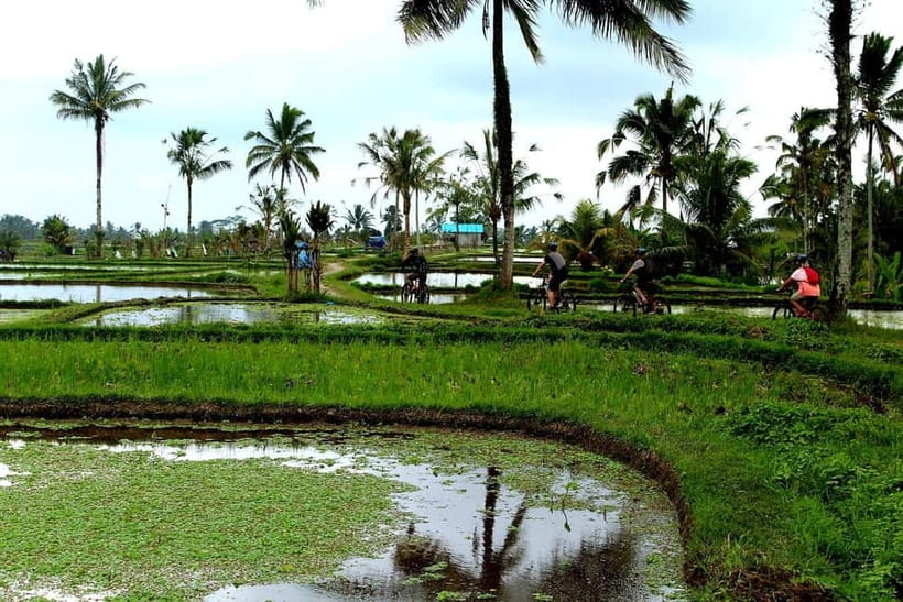 Bali: Kintamani Downhill Bike Tour, Jungle and Waterfalls - Village roads, artisans, and rice fields