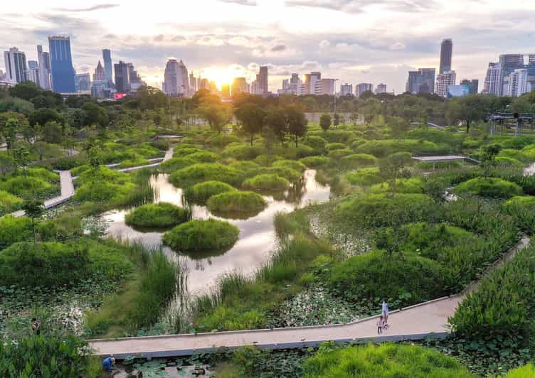 Bangkok Bicycle rental Benjakitti Park - Is the $11 price good value?