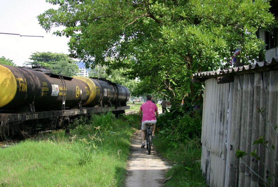 Bangkok: City Culture half-day Bike Tour - Lumpini Park and its famous reptiles