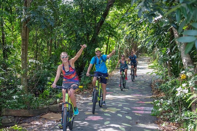 Bangkok Jungle Bike Tour - Hotel-pickup & Lunch - The narrow raised paths need your attention