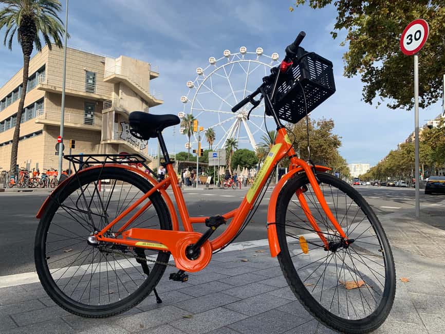 Barcelona Bike Tour: Iconic Sights & Hidden Spots - Reaching the Sagrada Familia by bike