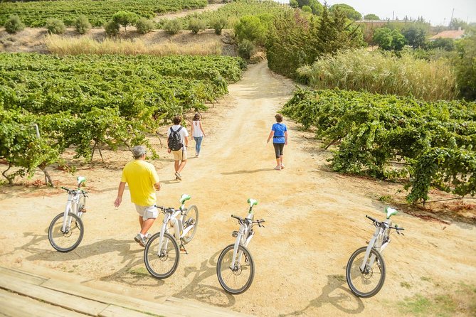 Barcelona eBike Beach Private Tour to Vineyards & Picnic - Is $302.33 per person fair?