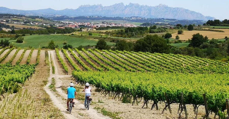 Barcelona: Guided Half-Day Wine and Electric Bike Tour - Key points to know before booking