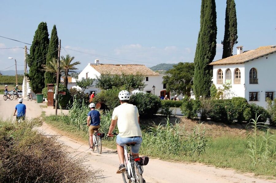 Barcelona: Guided Half-Day Wine and Electric Bike Tour - Extending the bike rental after 2 p.m.