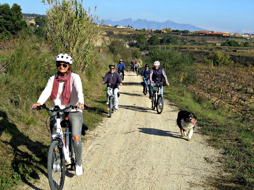 Barcelona: Guided Half-Day Wine and Electric Bike Tour - Why Penedès makes a better wine outing than a city tasting