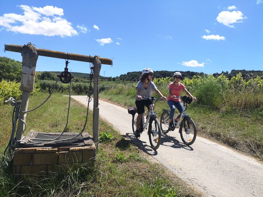 Barcelona: Guided Half-Day Wine and Electric Bike Tour - Inside a fourth-generation ecological winery