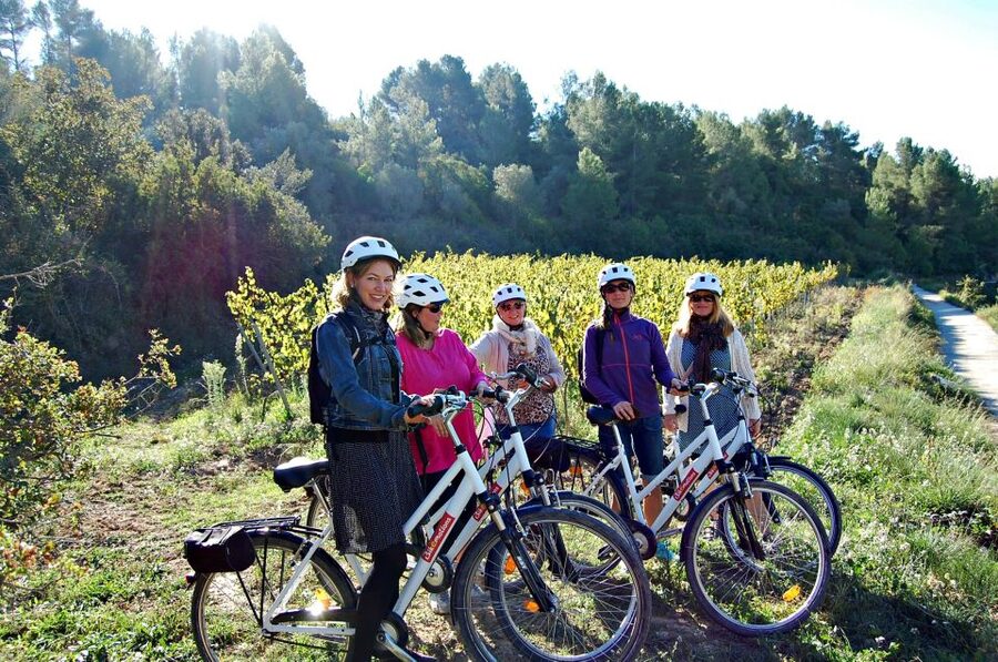 Barcelona: Guided Half-Day Wine and Electric Bike Tour - Tasting three glasses of wine and cava