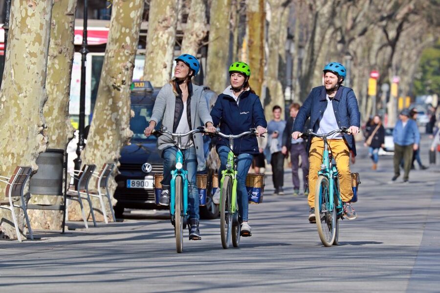 Barcelona: Montjuic Hill E-Bike Tour - The National Palace viewpoint