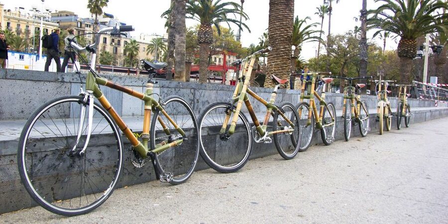Barcelona: Private Highlights Tour by Bamboo Bicycle - Four hours for Gaudí and a drink