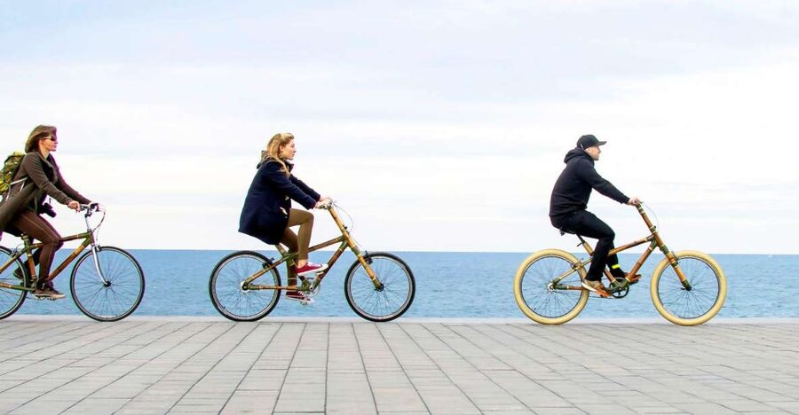 Barcelona: Private Highlights Tour by Bamboo Bicycle - The private guide is the real advantage