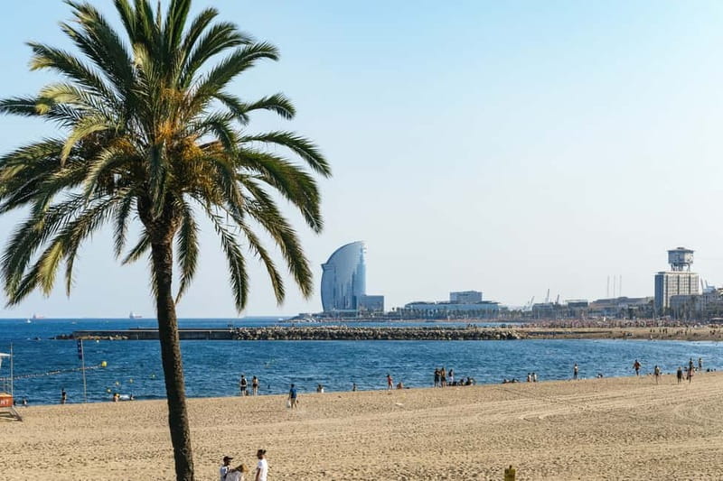 Barcelona: Sagrada Familia or City Tour by Bike or eBike - What the guides add to the ride