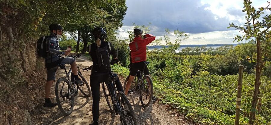 Bardolino: e-bike tour and wine tasting on the hills - Key points at a glance
