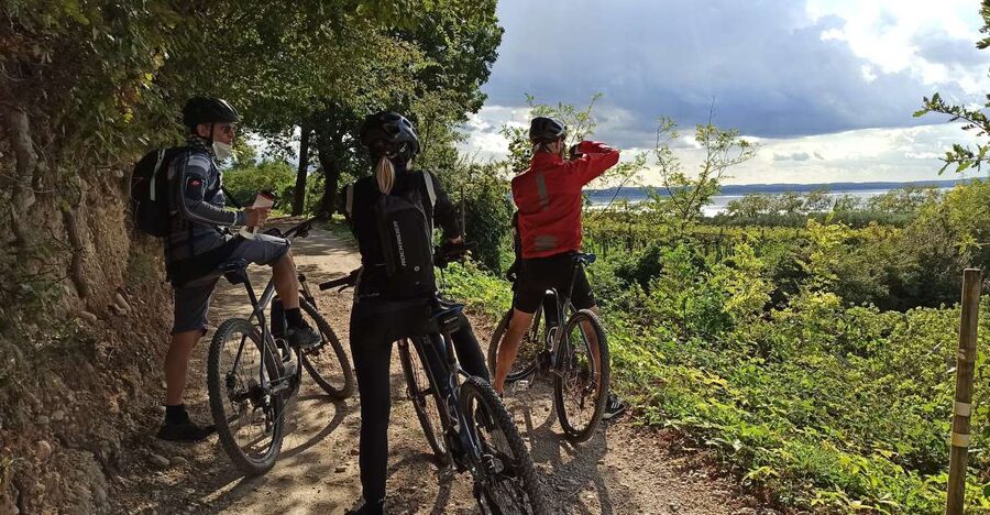 Bardolino: e-bike tour and wine tasting on the hills - Riding Bardolino beyond the lakefront
