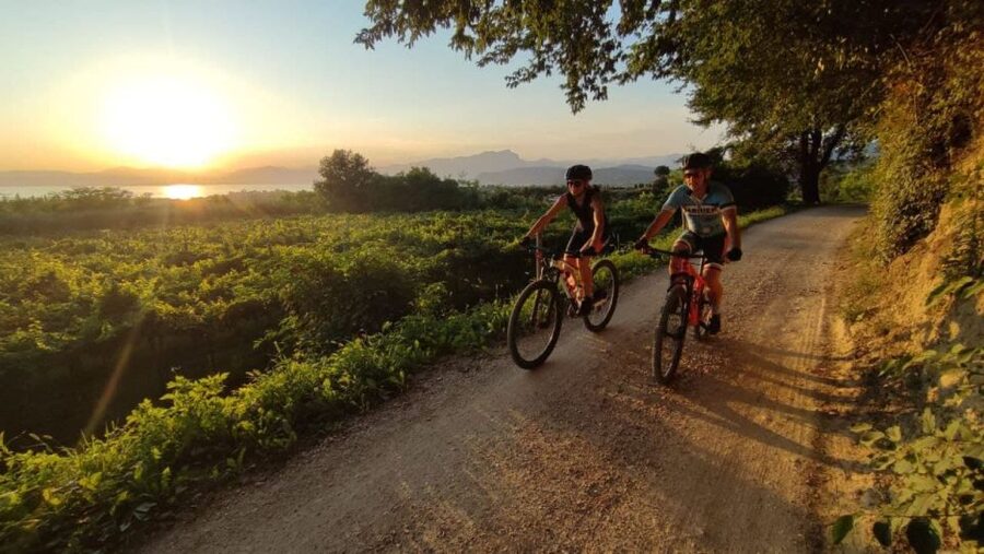 Bardolino: e-bike tour and wine tasting on the hills - The cycle path near Affi