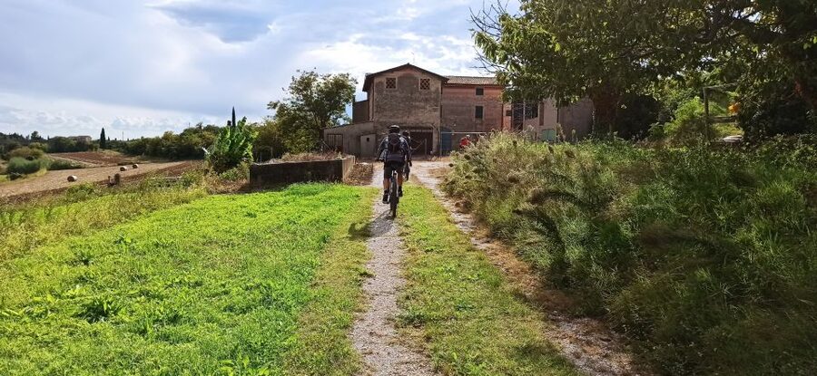 Bardolino: e-bike tour and wine tasting on the hills - Costermano and the Lake Garda views