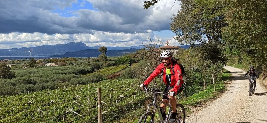 Bardolino: e-bike tour and wine tasting on the hills - The cellar tasting at the end