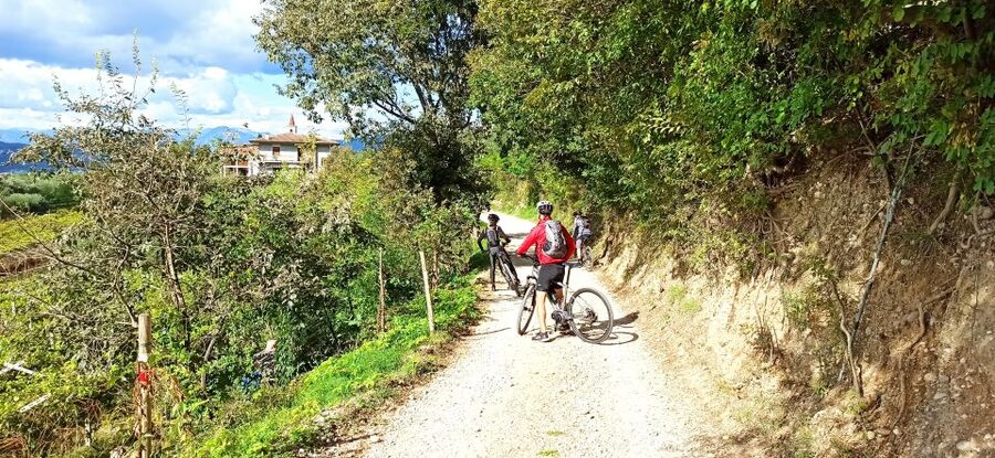 Bardolino: e-bike tour and wine tasting on the hills - From vineyards to Cavaion Veronese