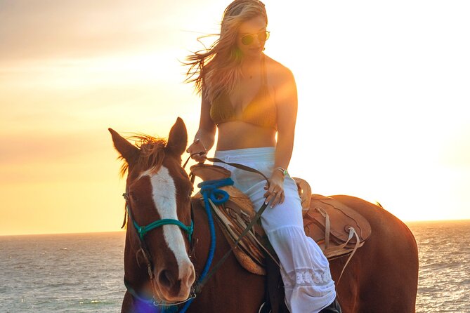 Beach Camel Ride and Sky Bike in Cabo - Pedaling the Sky Bike Above Baja