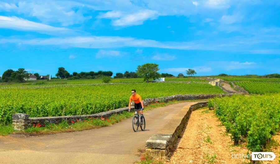 Beaune: Winery Tour by Bike with Wine Tasting - Riding from Beaune into the Côte de Beaune