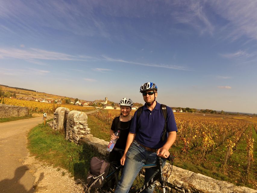 Beaune: Winery Tour by Bike with Wine Tasting - Pommard: famous names, quiet lanes